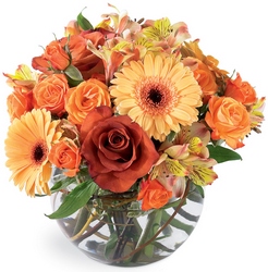 Natural Elegance Bouquet<b> from Flowers All Over.com 